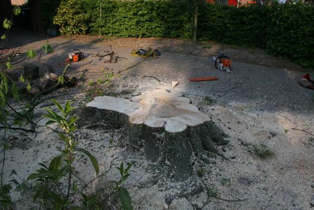 wat overblijft is het gat, eind van de boom, dit kunnen wij ook voor u uitfrezen hovenier tilburg tuinontwerp 